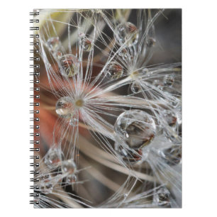 Cuaderno Diente de León Abstracto