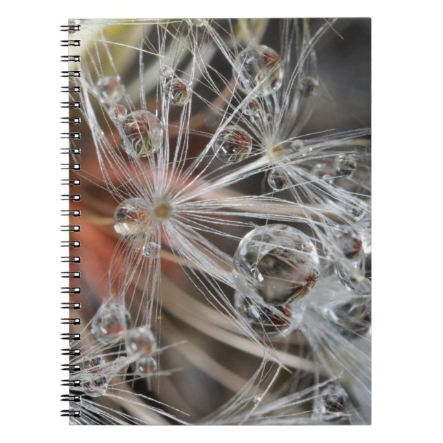 Cuaderno Diente de León Abstracto (Frente)