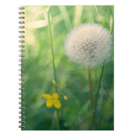 Cuaderno Diente de león en un entorno verde con suave luz d