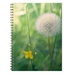 Cuaderno Diente de león en un entorno verde con suave luz d