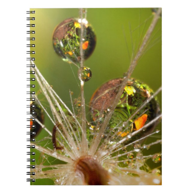 Cuaderno Diente de León Y Gotitas de Agua (Frente)