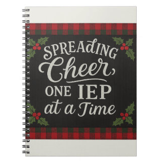 Cuaderno Difundiendo Alegría, Un IEP a la Vez