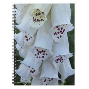 Cuaderno Digitalis Floral Blanca con Manchas Rosadas