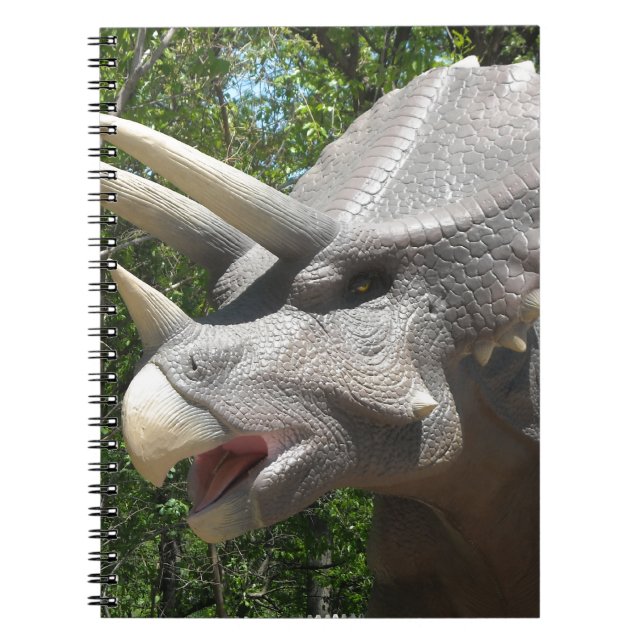 Cuaderno Dinosaurio Triceratops (Frente)