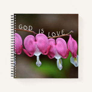 Cuaderno Dios es corazón de amor