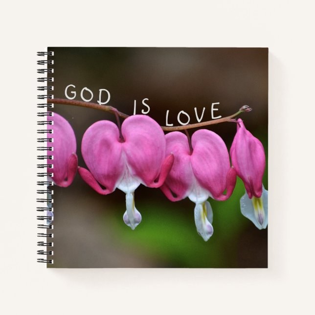 Cuaderno Dios es corazón de amor (Anverso)