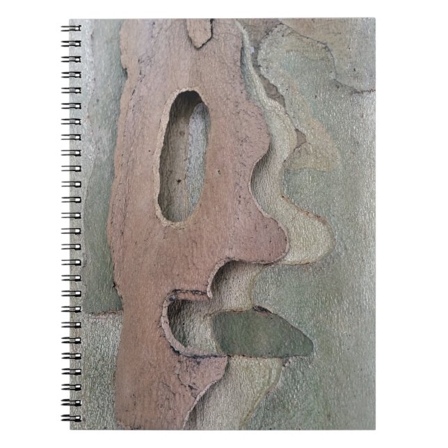 Cuaderno diseñado por naturaleza (Frente)