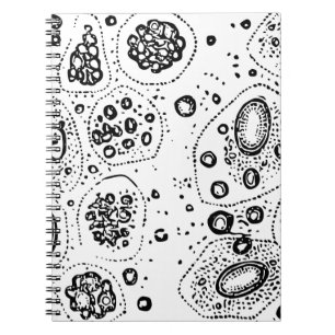Cuaderno Diseño celular