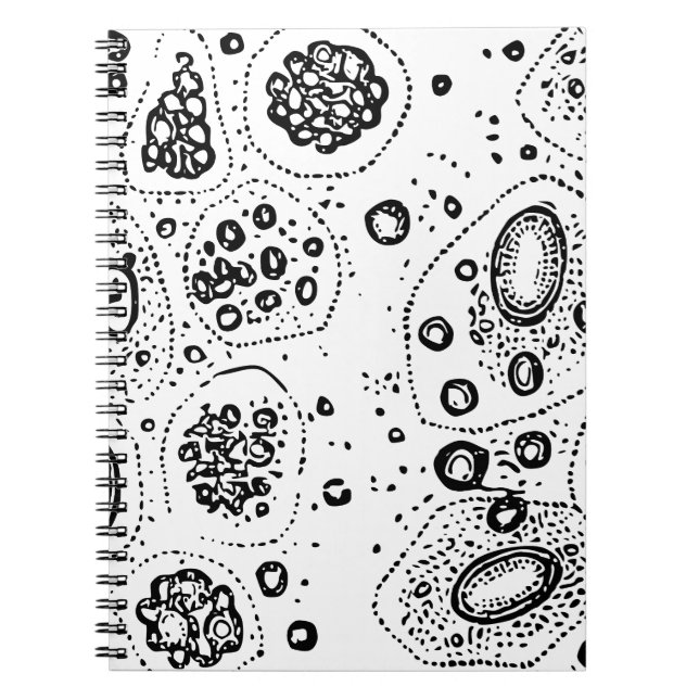 Cuaderno Diseño celular (Frente)