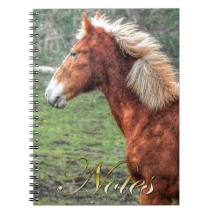 Cuaderno Diseño de joven amante del caballo Palomino Colt