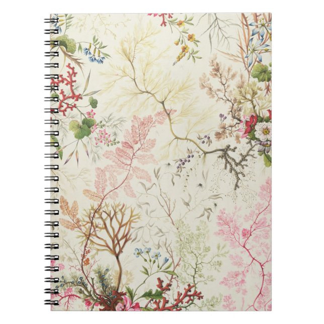 Cuaderno Diseño de la alga marina para el material de seda (Frente)