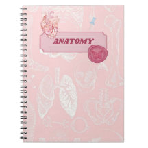 Diseño Estético de Anatomía Rosa para Estudiantes 