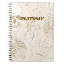Diseño Estético Médico Esqueleto Anatomía Beige