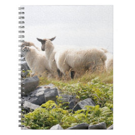 Cuaderno Diseños peculiares - ovejas en un campo