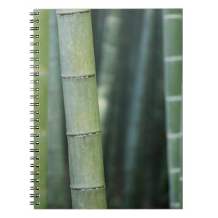 Cuaderno Disparos verdes de bambú