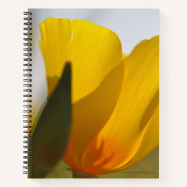 Cuaderno Disquete relleno de luz