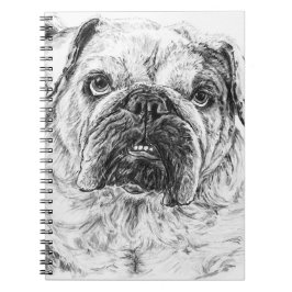 Cuaderno DIVA Lilybug