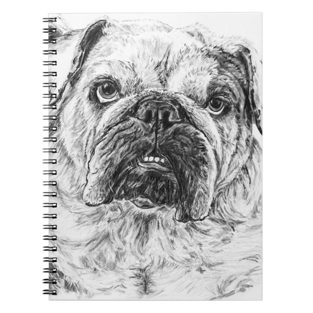 Cuaderno DIVA Lilybug (Frente)