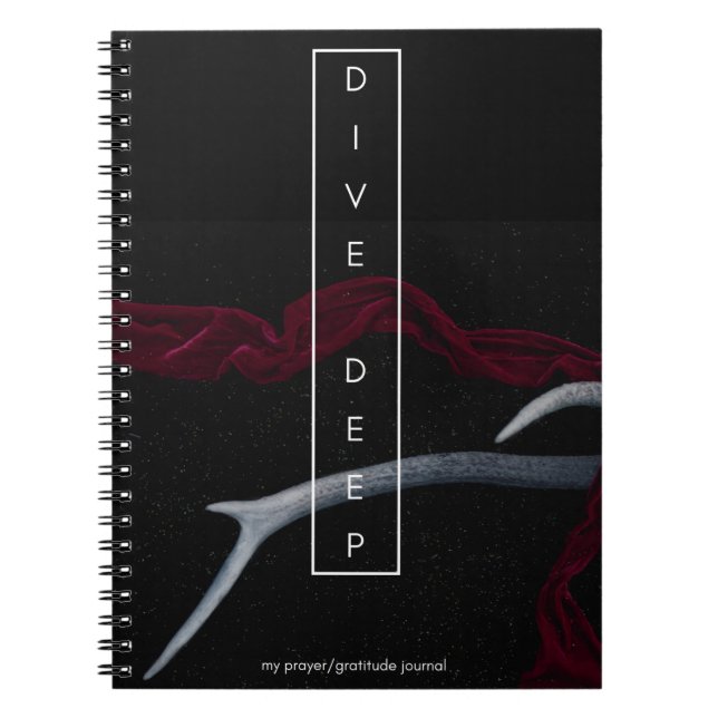 Cuaderno Dive Deep Prayer y Gratitude Journal (Frente)