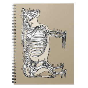 Cuaderno Diversión de los huesos del esqueleto de la vaca a