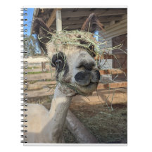 Cuaderno divertido de Alpaca