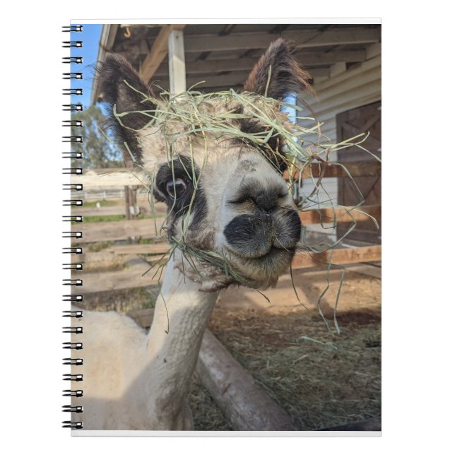 Cuaderno divertido de Alpaca (Frente)