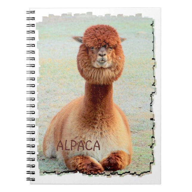 Cuaderno divertido de la alpaca (Frente)