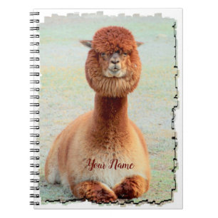 Cuaderno divertido de la foto de la alpaca
