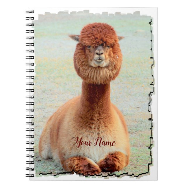Cuaderno divertido de la foto de la alpaca (Frente)