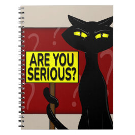 Cuaderno Divertido Mal Boogie - ¿Estás Serio?