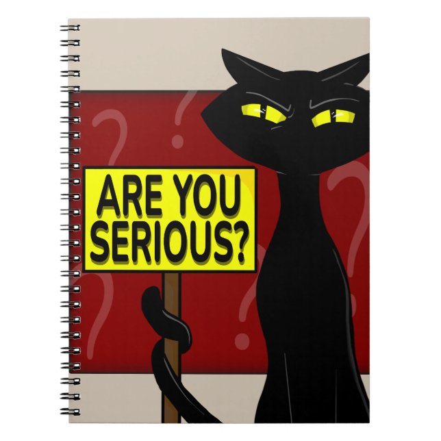Cuaderno Divertido Mal Boogie - ¿Estás Serio? (Frente)