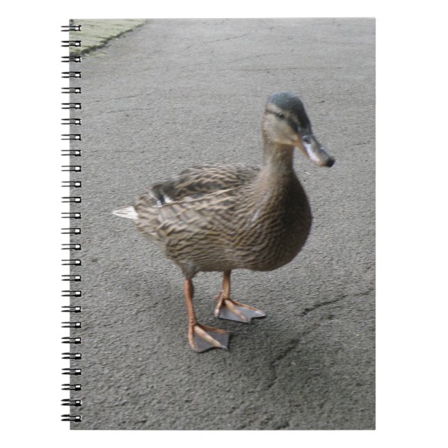 Cuaderno divertido para pato (Frente)