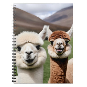 Cuaderno Diviértete & Amistad