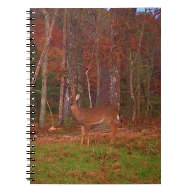 Cuaderno Doe a Deer in Lake Arrowhead (Frente)