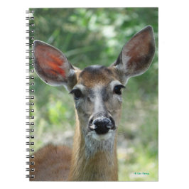 Cuaderno Doe de ciervo de cola blanca D33