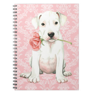Cuaderno Dogo subió tarjeta del día de San Valentín