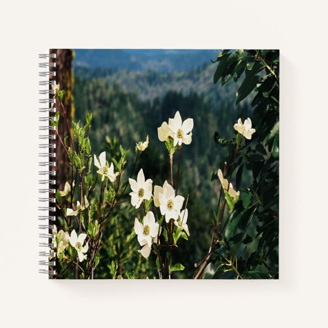 Cuaderno Dogwood está en flor..... (Anverso)