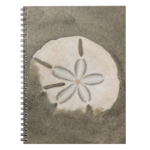 Cuaderno Dólar de arena (Echinarachnius parma)