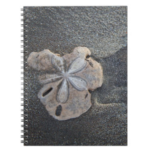 Cuaderno Dólar de arena en arena