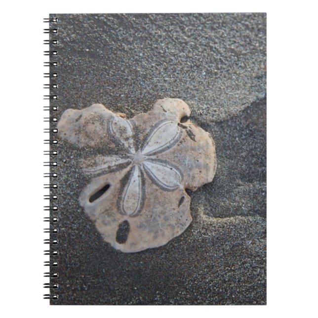 Cuaderno Dólar de arena en arena (Frente)