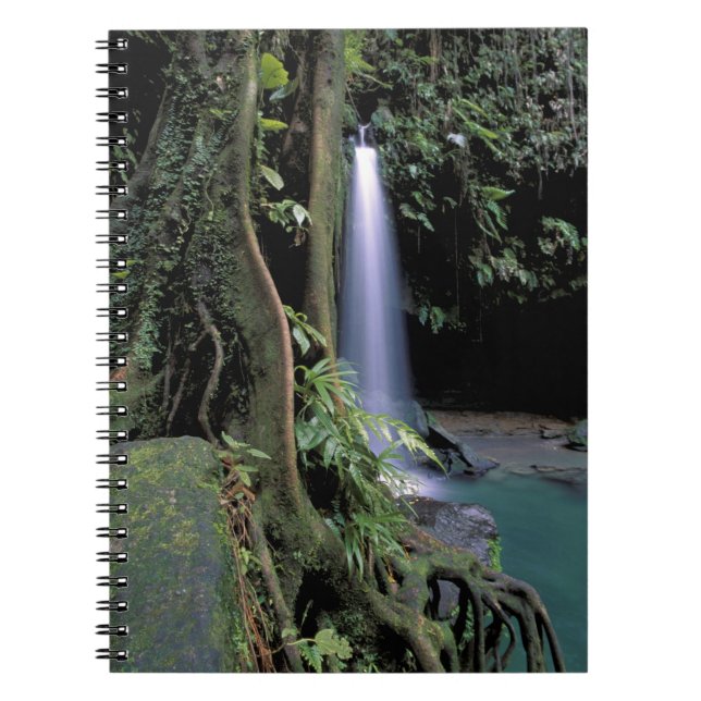 Cuaderno Dominica, Estanque Esmeralda, Cascada. (Frente)