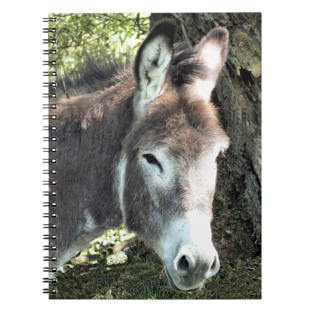 CUADERNO DONKEY (Frente)