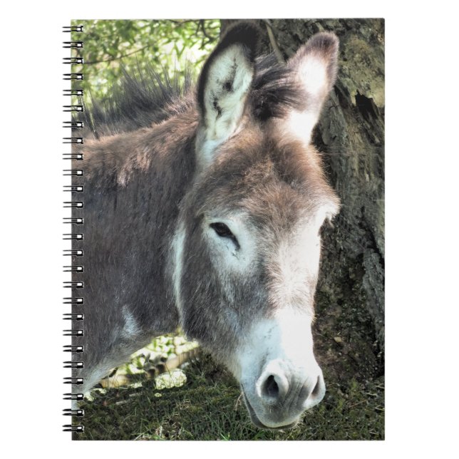 CUADERNO DONKEY (Frente)
