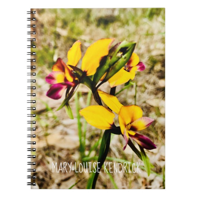 Cuaderno Donkey Orchids (Frente)