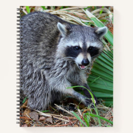 Cuaderno Don't Mind Me, Just Passing Through