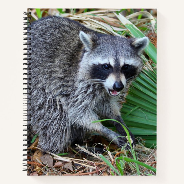 Cuaderno Don't Mind Me, Just Passing Through (Anverso)