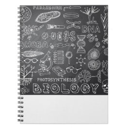 Cuaderno Doodle de la ciencia de la biología en pizarra