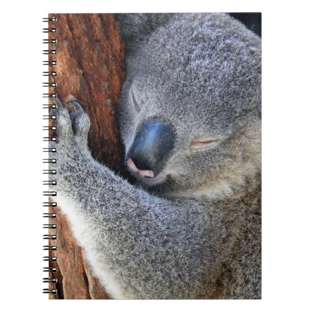 Cuaderno Dormir Koala (Frente)