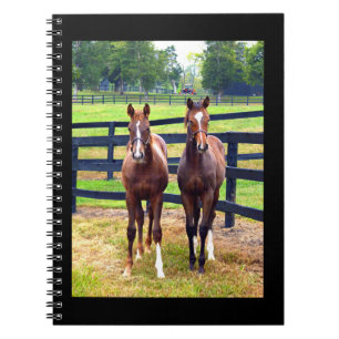 Cuaderno Dos amigos