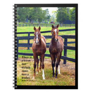 Cuaderno Dos amigos con Proverbios 18:24